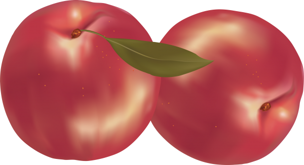 Peach PNG Free Download 59