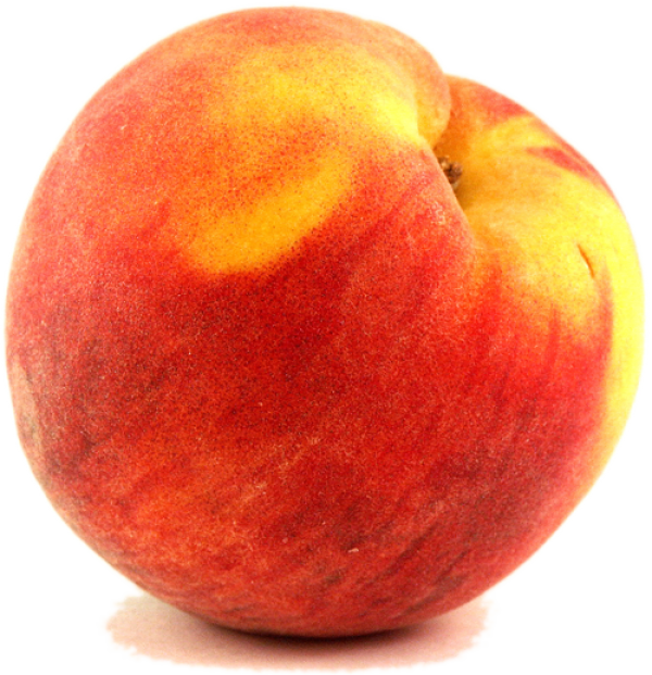 Peach PNG Free Download 62