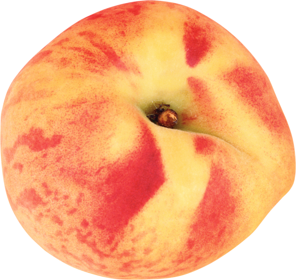 Peach PNG Free Download 7