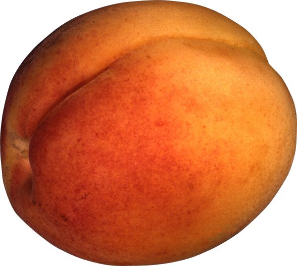 Peach PNG Free Download 9