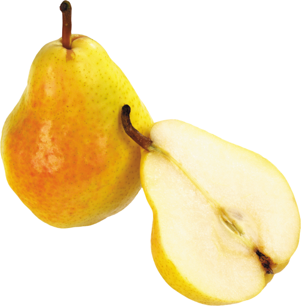 Pear PNG Free Download 1