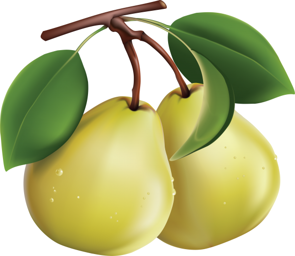 Pear PNG Free Download 11
