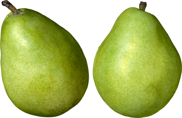 Pear PNG Free Download 12