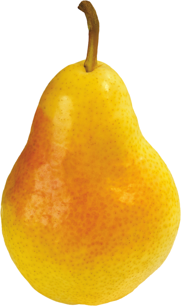 Pear PNG Free Download 13