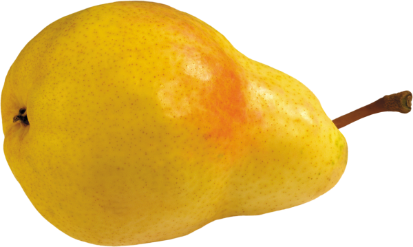 Pear PNG Free Download 14