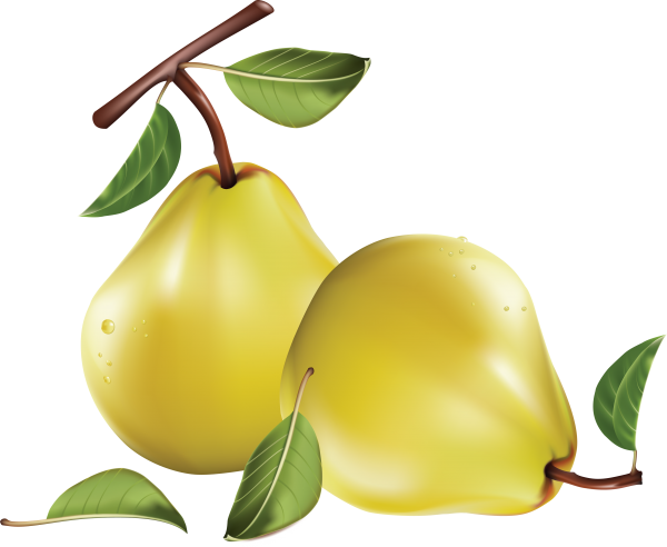 Pear PNG Free Download 16