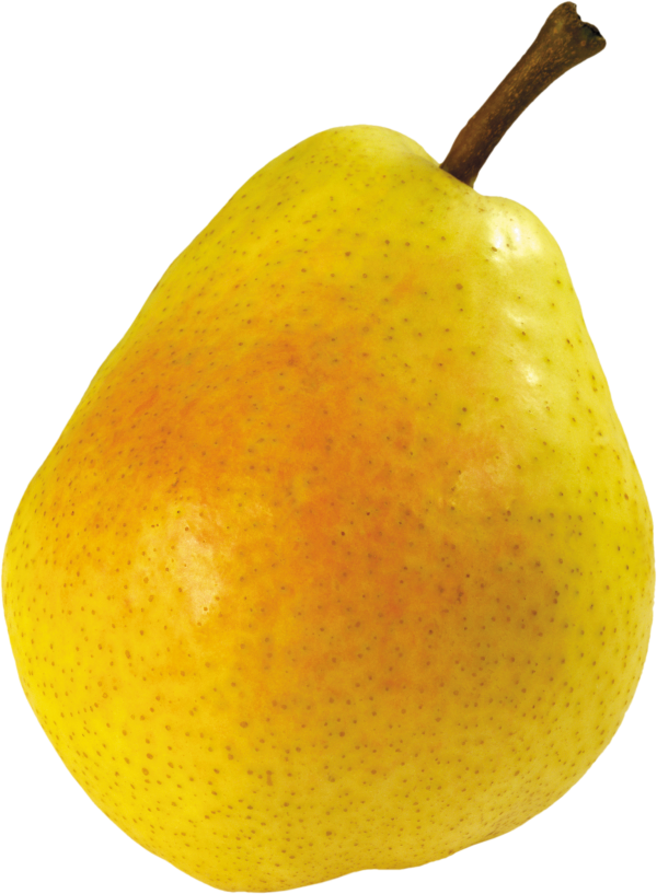 Pear PNG Free Download 17