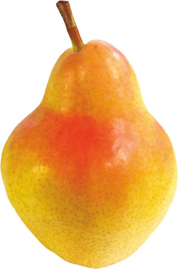 Pear PNG Free Download 2