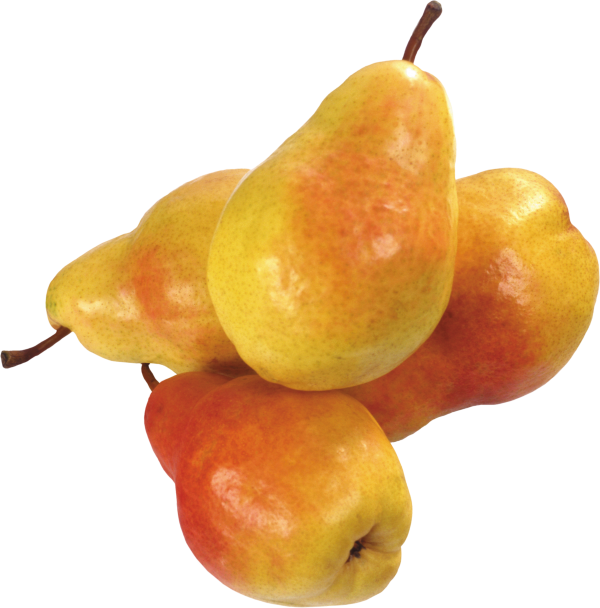 Pear PNG Free Download 20