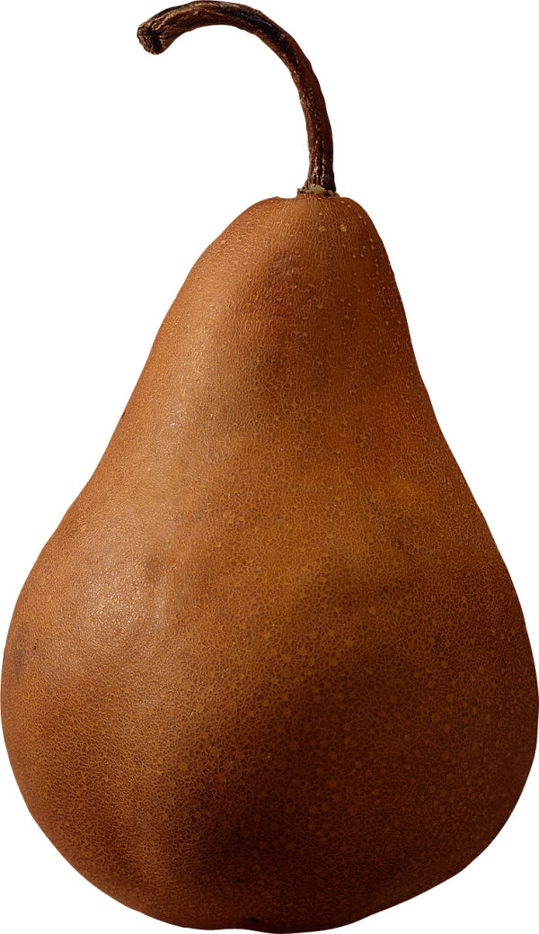 Pear PNG Free Download 22