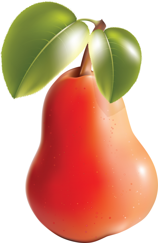 Pear PNG Free Download 23
