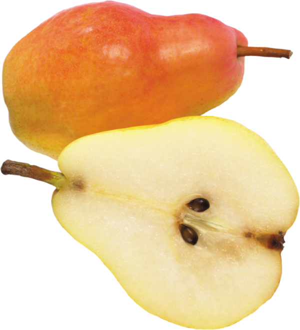 Pear PNG Free Download 24