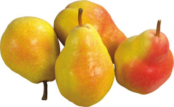 Pear PNG Free Download 25