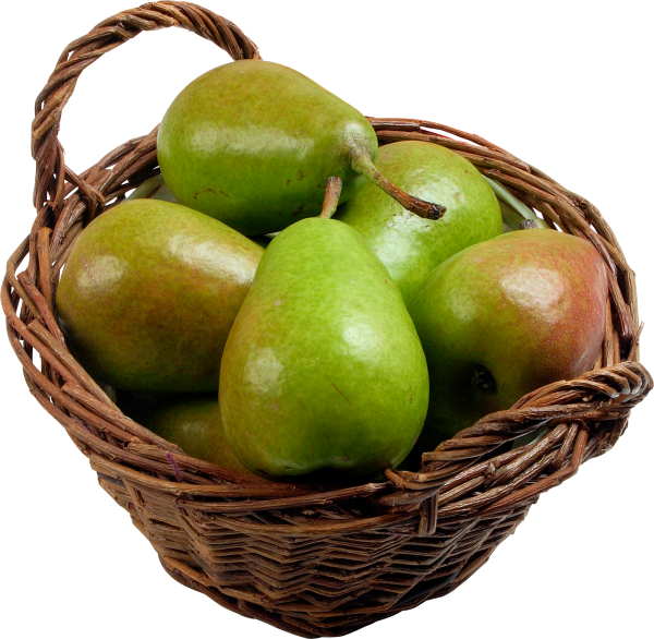 Pear PNG Free Download 26