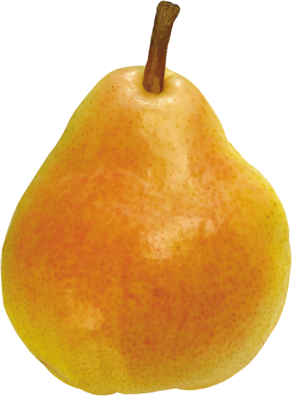 Pear PNG Free Download 29