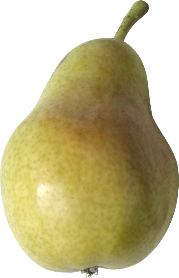 Pear PNG Free Download 32