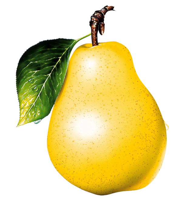 Pear PNG Free Download 33