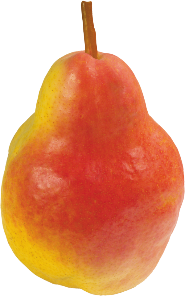 Pear PNG Free Download 5