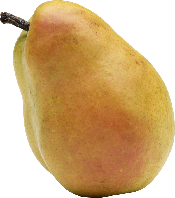 Pear PNG Free Download 6