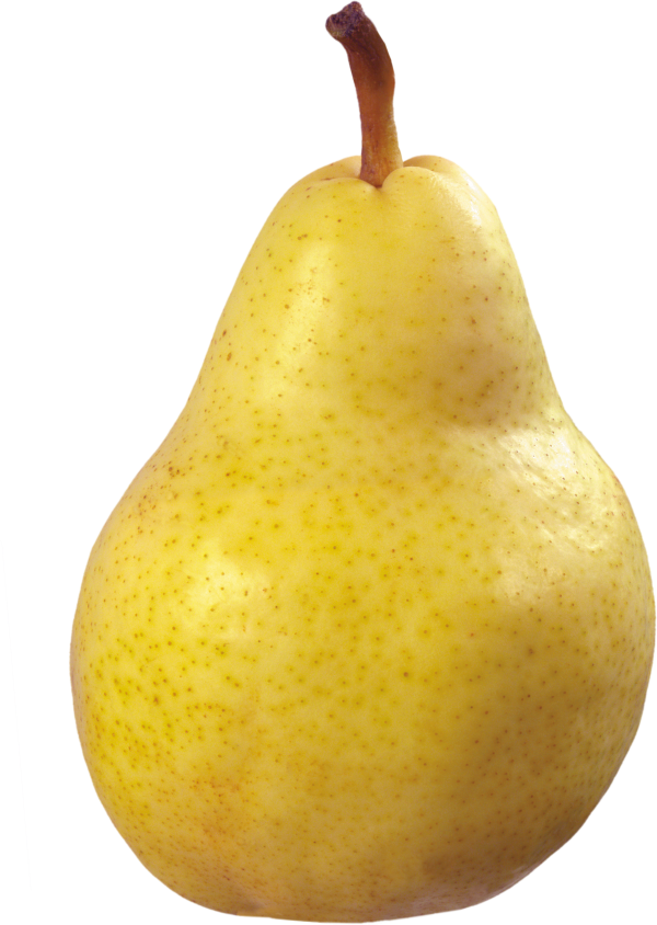 Pear PNG Free Download 7