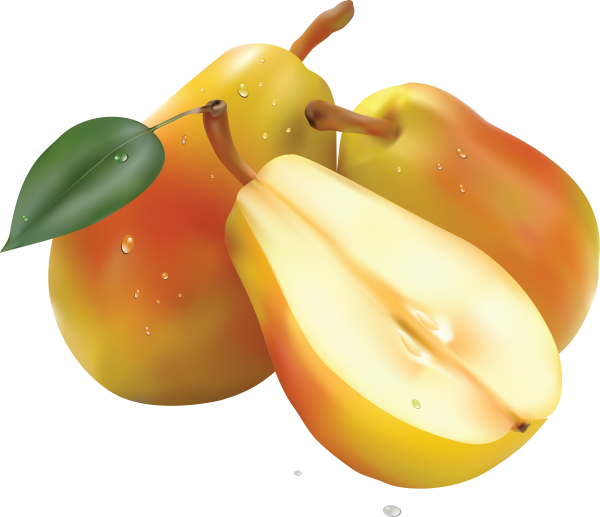 Pear PNG Free Download 8