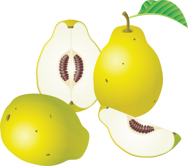 Pear PNG Free Download 9