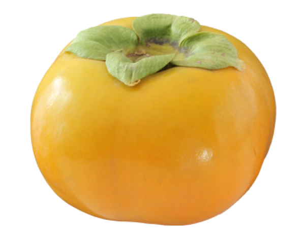 Persimmon PNG Free Download 1