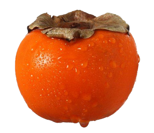 Persimmon PNG Free Download 10