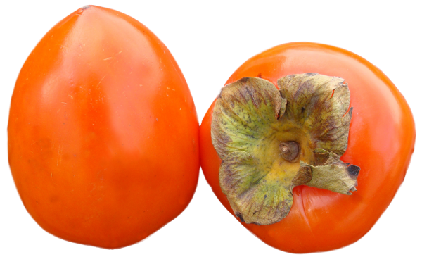 Persimmon PNG Free Download 11