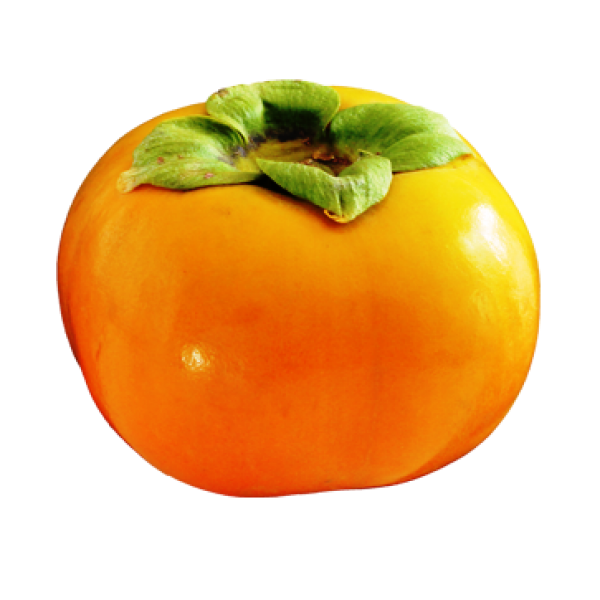 Persimmon PNG Free Download 3