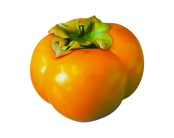 Persimmon PNG Free Download 5
