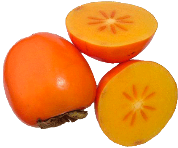 Persimmon PNG Free Download 6