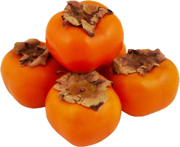 Persimmon PNG Free Download 7