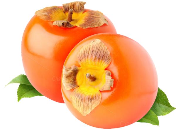 Persimmon PNG Free Download 8
