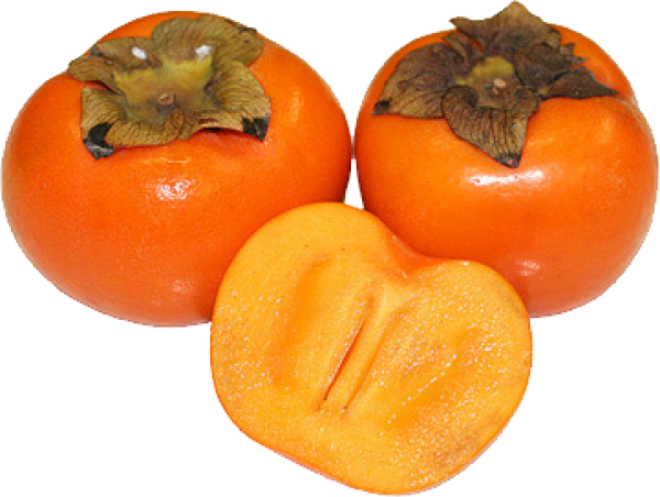 Persimmon PNG Free Download 9