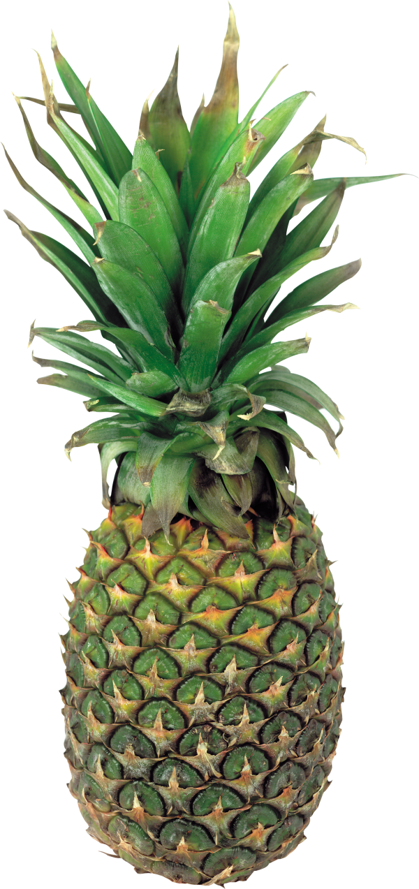 Pineapple PNG Free Download 10