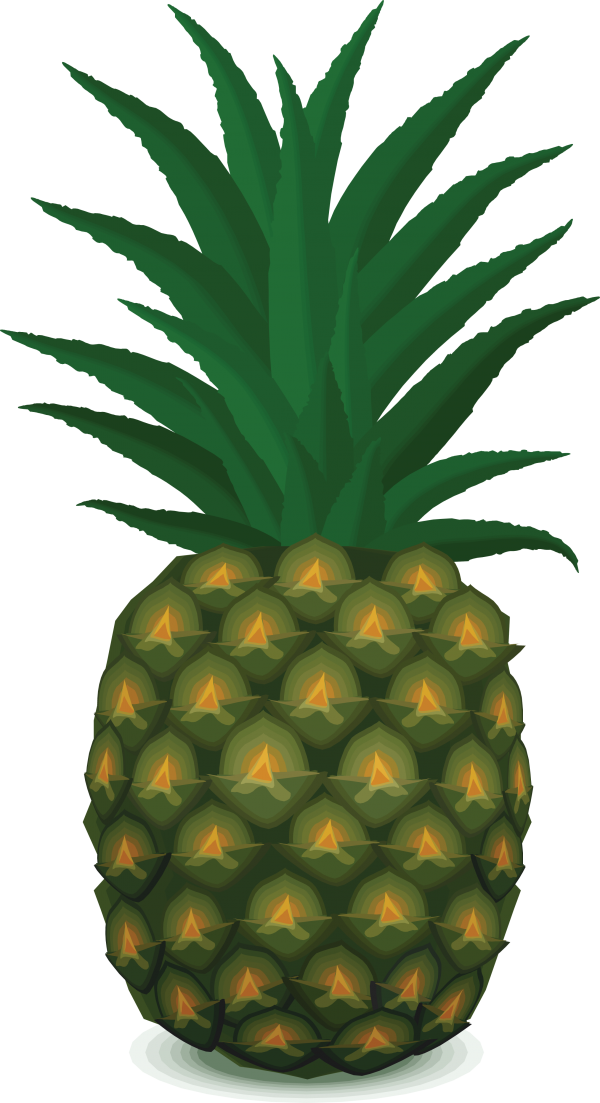 Pineapple PNG Free Download 11
