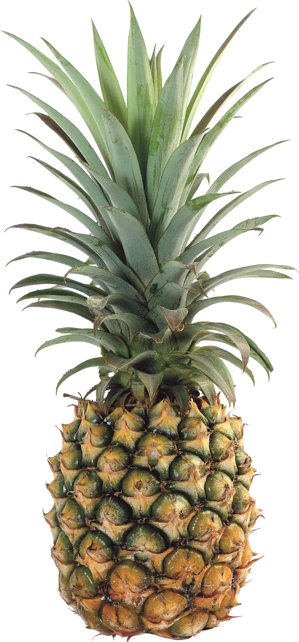 Pineapple PNG Free Download 13