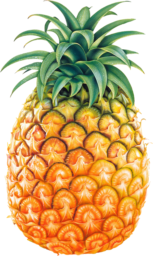 Pineapple PNG Free Download 17