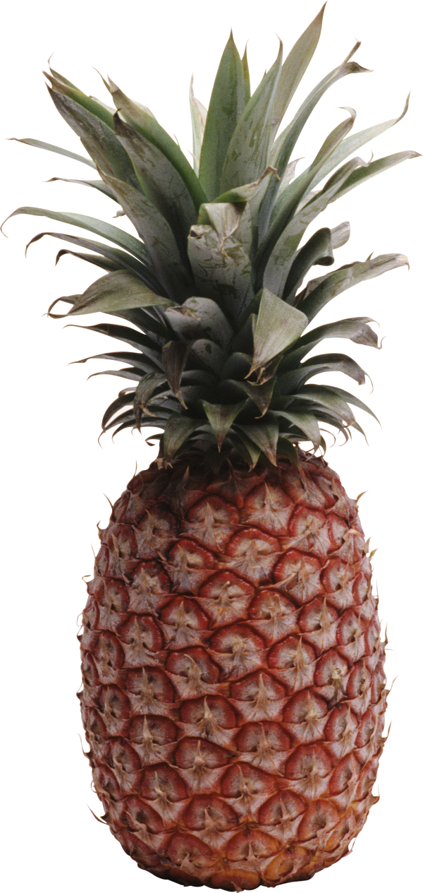 Pineapple PNG Free Download 19