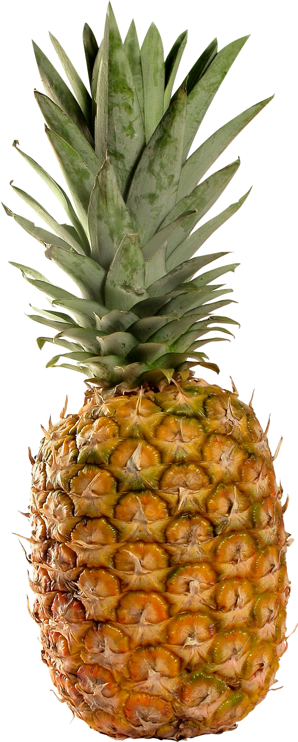Pineapple PNG Free Download 20