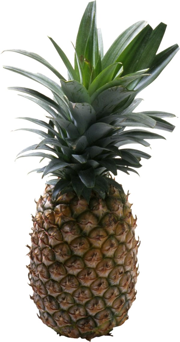 Pineapple PNG Free Download 23