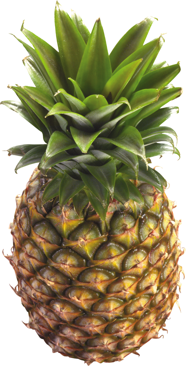 Pineapple PNG Free Download 24