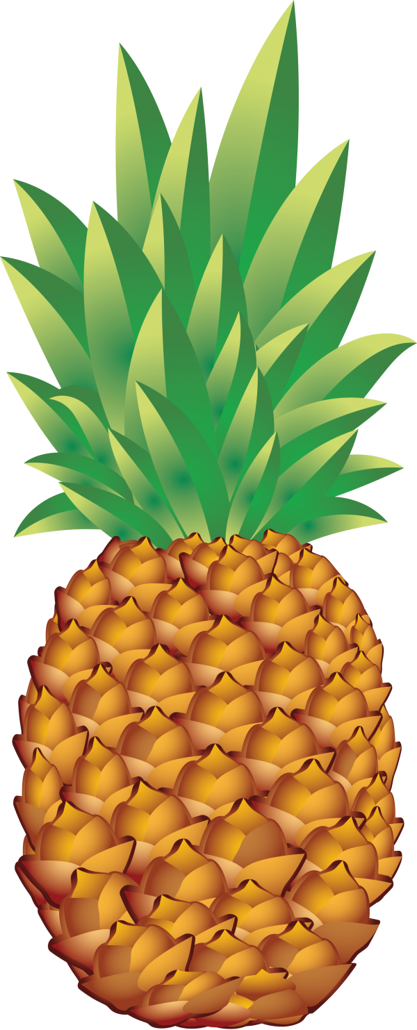 Pineapple PNG Free Download 26