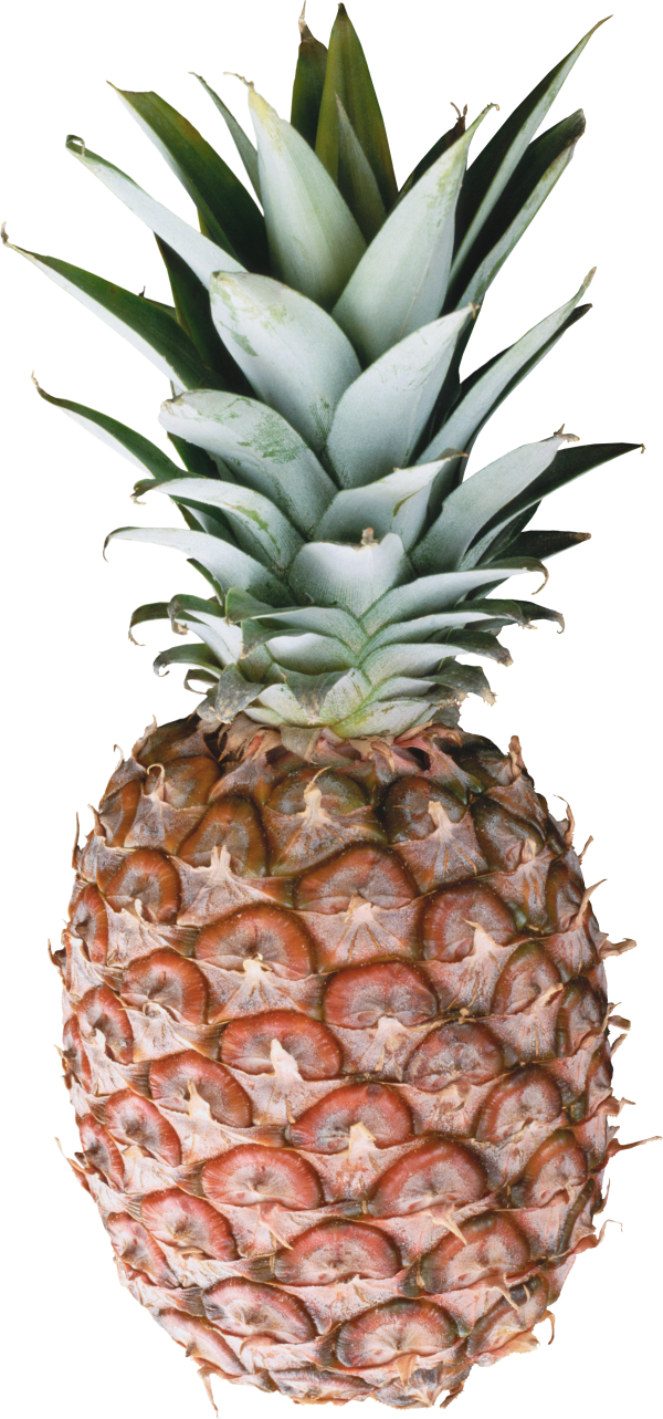 Pineapple PNG Free Download 29