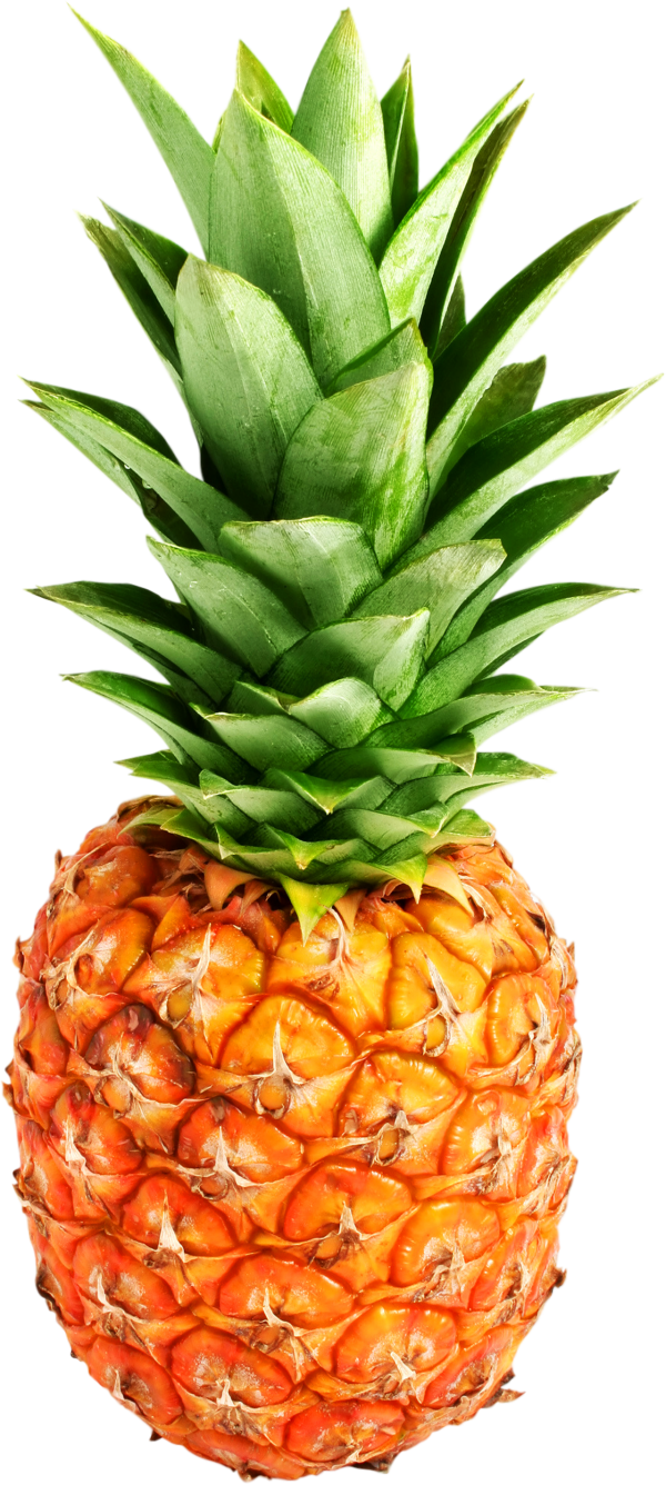 Pineapple PNG Free Download 3