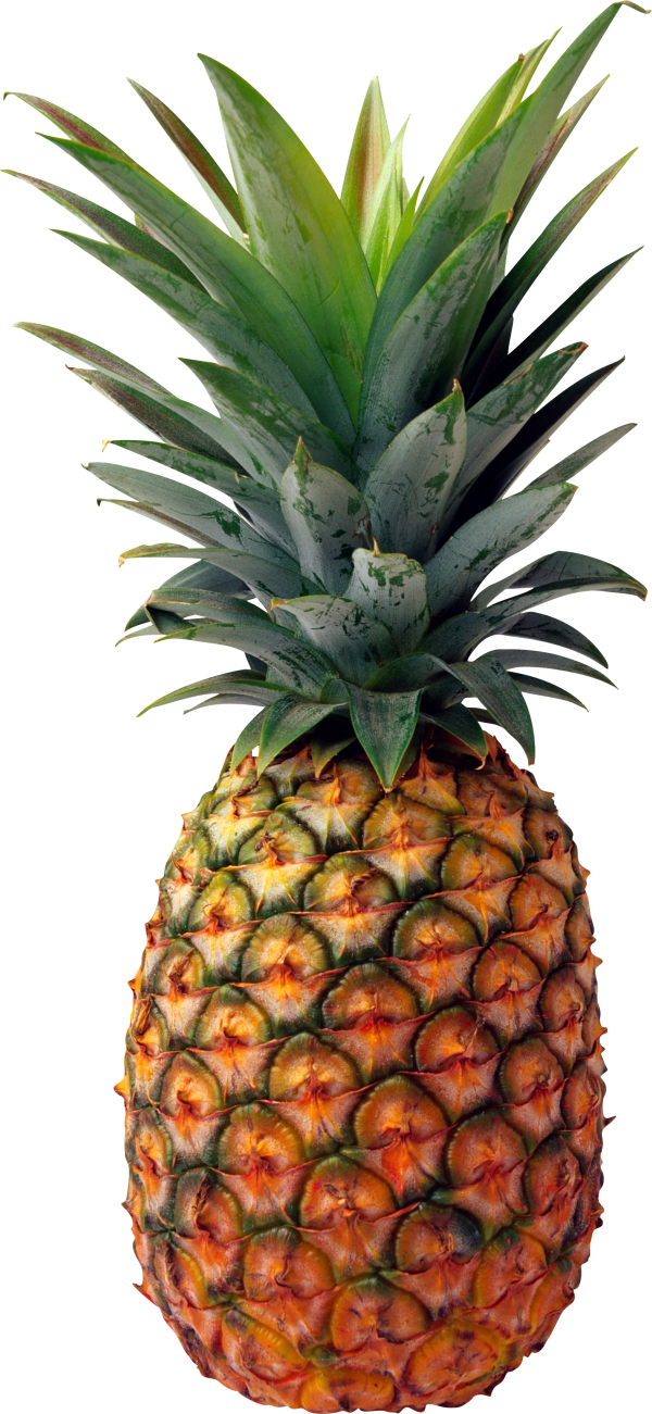 Pineapple PNG Free Download 30