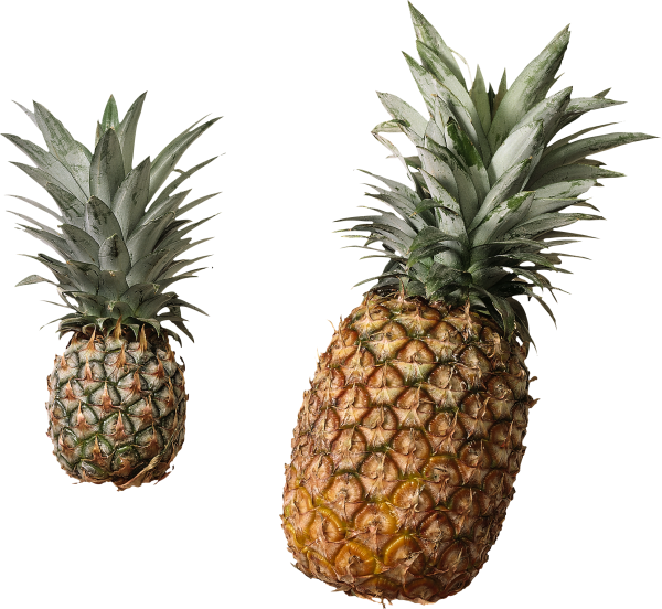 Pineapple PNG Free Download 6
