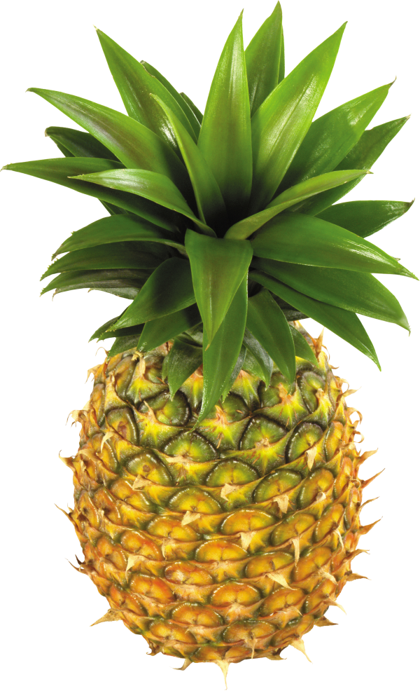 Pineapple PNG Free Download 8
