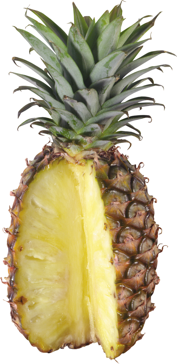 Pineapple PNG Free Download 9